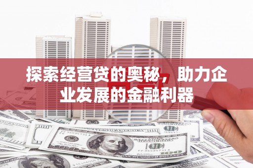 盐源探索经营贷的奥秘，助力企业发展的金融利器