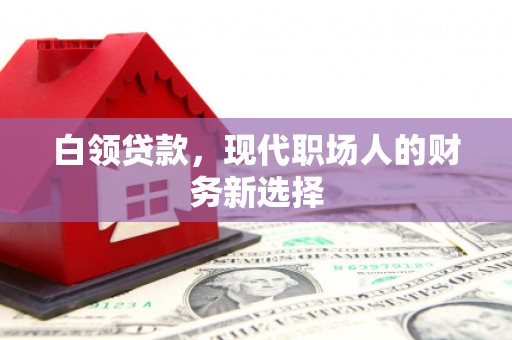 盐源白领贷款，现代职场人的财务新选择
