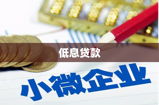 盐源低息贷款