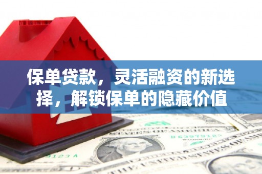 盐源保单贷款，灵活融资的新选择，解锁保单的隐藏价值