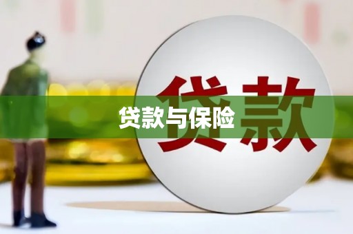 盐源贷款与保险