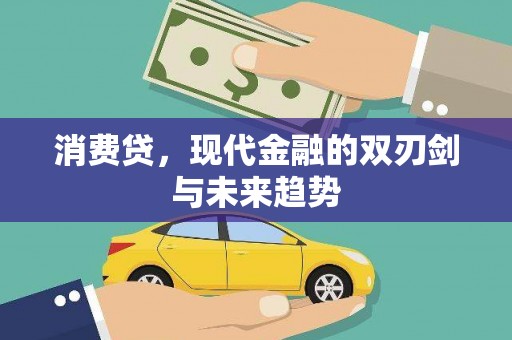 盐源消费贷，现代金融的双刃剑与未来趋势