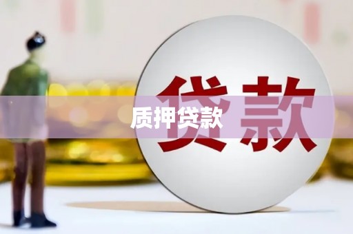 盐源质押贷款
