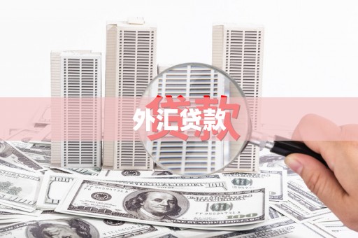 盐源外汇贷款