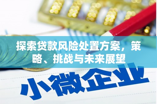 盐源探索贷款风险处置方案，策略、挑战与未来展望