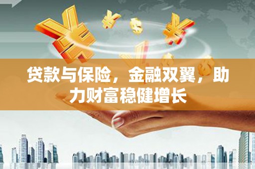 盐源贷款与保险，金融双翼，助力财富稳健增长