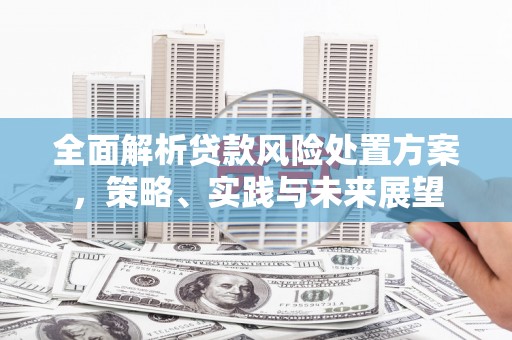 盐源全面解析贷款风险处置方案，策略、实践与未来展望