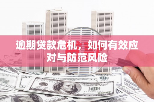 盐源逾期贷款危机，如何有效应对与防范风险