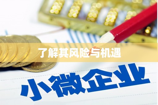 盐源了解其风险与机遇