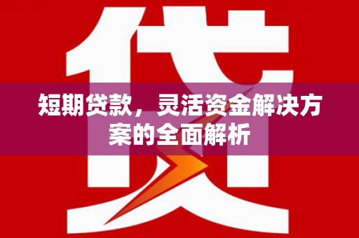 盐源短期贷款，灵活资金解决方案的全面解析