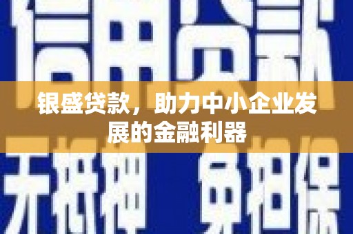 盐源银盛贷款，助力中小企业发展的金融利器