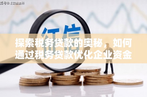 盐源探索税务贷款的奥秘，如何通过税务贷款优化企业资金流