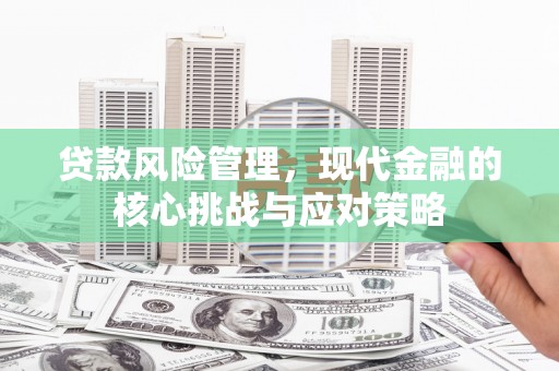 盐源贷款风险管理，现代金融的核心挑战与应对策略