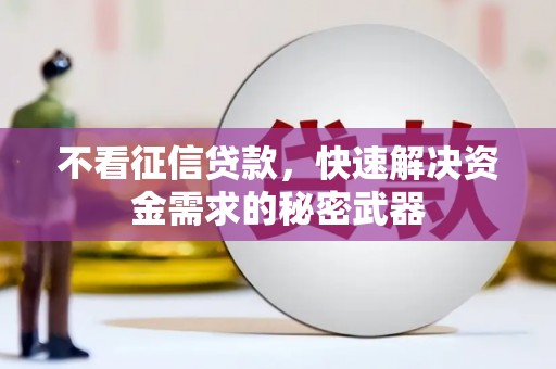 盐源不看征信贷款，快速解决资金需求的秘密武器