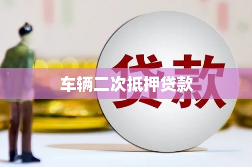 盐源车辆二次抵押贷款