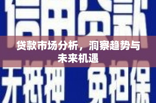 盐源贷款市场分析，洞察趋势与未来机遇