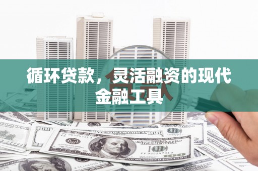 盐源循环贷款，灵活融资的现代金融工具