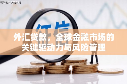 盐源外汇贷款，全球金融市场的关键驱动力与风险管理