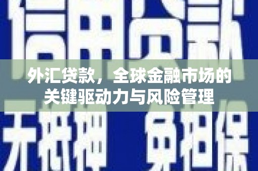盐源外汇贷款，全球金融市场的关键驱动力与风险管理