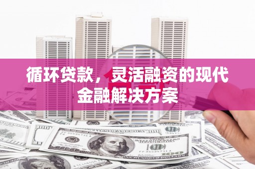 盐源循环贷款，灵活融资的现代金融解决方案