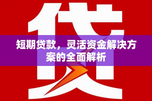 盐源短期贷款，灵活资金解决方案的全面解析