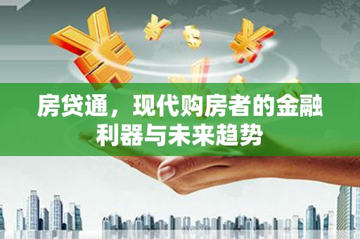 盐源房贷通，现代购房者的金融利器与未来趋势