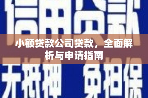 盐源小额贷款公司贷款，全面解析与申请指南