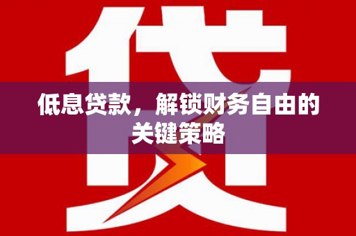 盐源低息贷款，解锁财务自由的关键策略