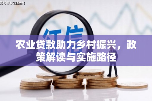 盐源农业贷款助力乡村振兴，政策解读与实施路径