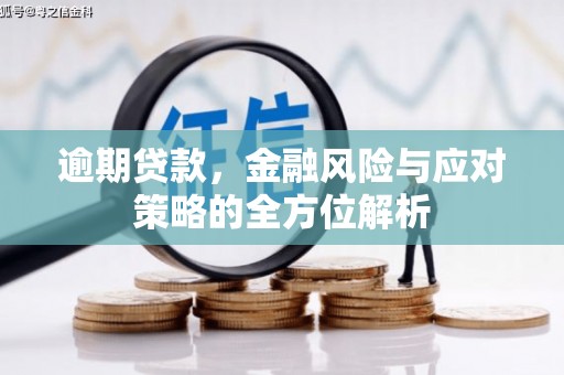 盐源逾期贷款，金融风险与应对策略的全方位解析