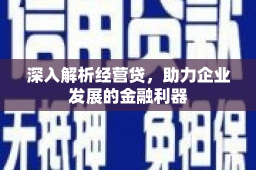 盐源深入解析经营贷，助力企业发展的金融利器