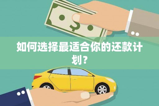 盐源如何选择最适合你的还款计划？