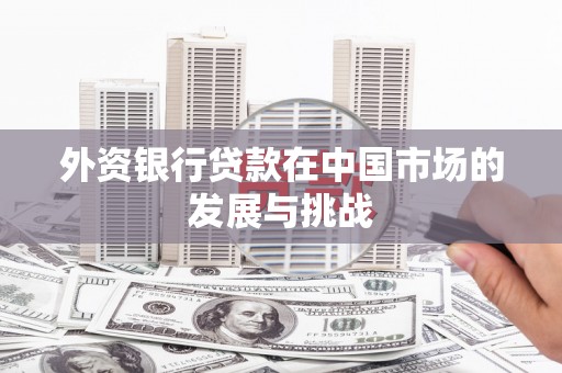 盐源外资银行贷款在中国市场的发展与挑战