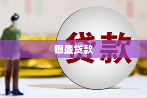 盐源银盛贷款
