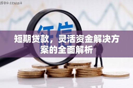 盐源短期贷款，灵活资金解决方案的全面解析