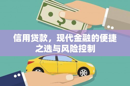 盐源信用贷款，现代金融的便捷之选与风险控制