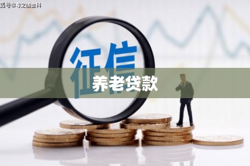 盐源养老贷款