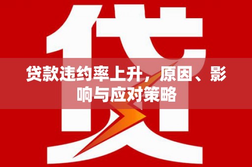 盐源贷款违约率上升，原因、影响与应对策略