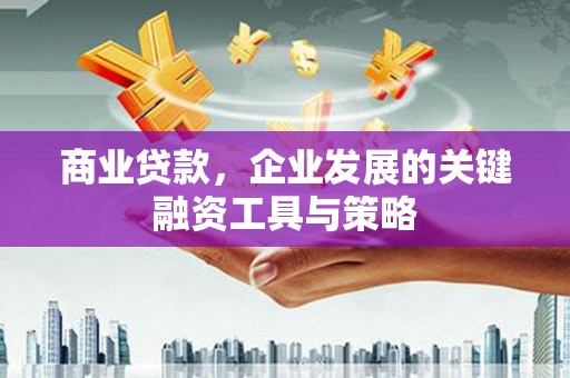 盐源商业贷款，企业发展的关键融资工具与策略