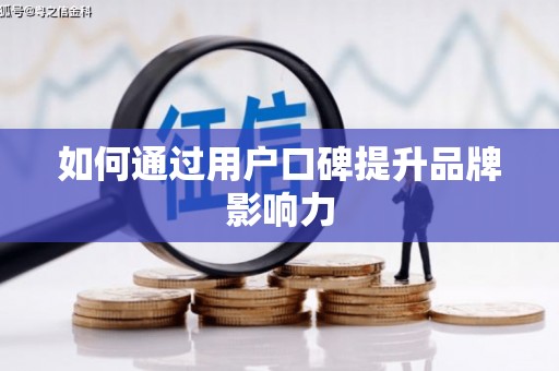 盐源如何通过用户口碑提升品牌影响力