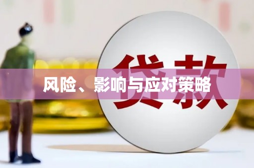 盐源风险、影响与应对策略