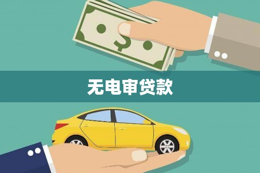 盐源无电审贷款
