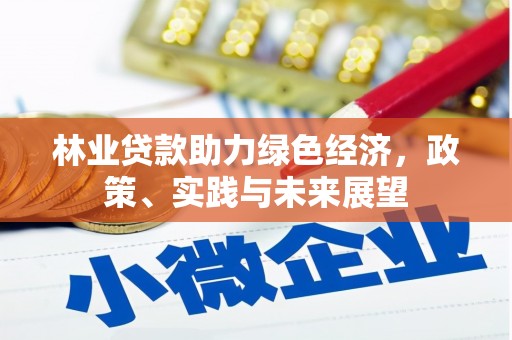 盐源林业贷款助力绿色经济，政策、实践与未来展望