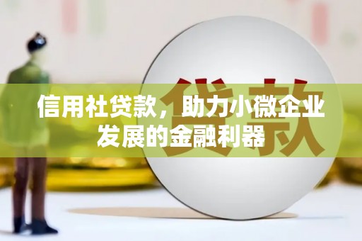 盐源信用社贷款，助力小微企业发展的金融利器