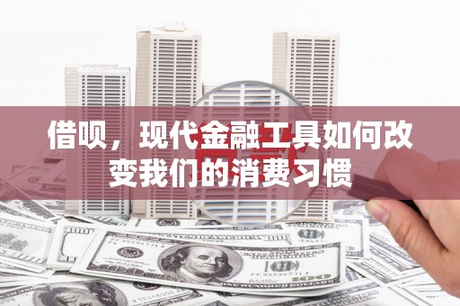 盐源借呗，现代金融工具如何改变我们的消费习惯