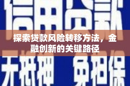 盐源探索贷款风险转移方法，金融创新的关键路径