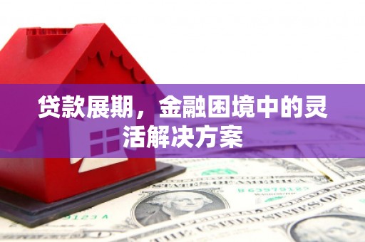 盐源贷款展期，金融困境中的灵活解决方案