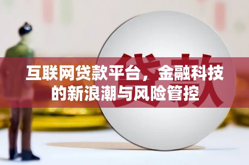 盐源互联网贷款平台，金融科技的新浪潮与风险管控