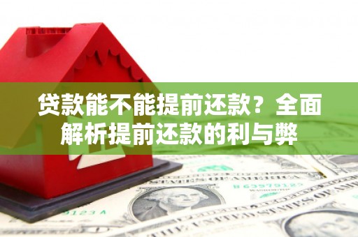 盐源贷款能不能提前还款？全面解析提前还款的利与弊