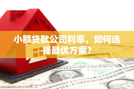 盐源小额贷款公司利率，如何选择最优方案？
